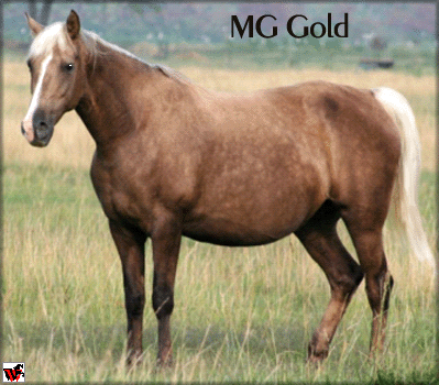 MG Gold