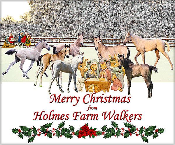 Holmes Farm - Missouri Breeders of Tennessee Walking Horses