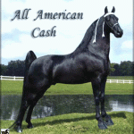 All American Cash