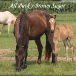 All Buck’s Brown Sugar