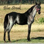 Blue Streak DLK