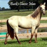 Buck’s Classic Man