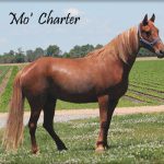 Mo' Charter