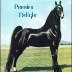 Premier Delight